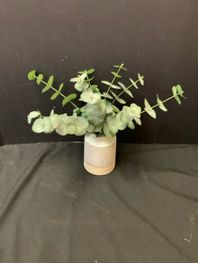  Arrangement