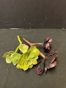  Pottery Barn Plant