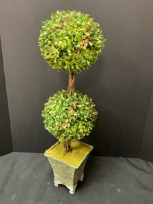  Topiary