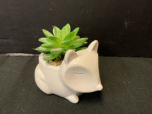  Plant