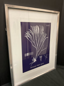  Framed Art