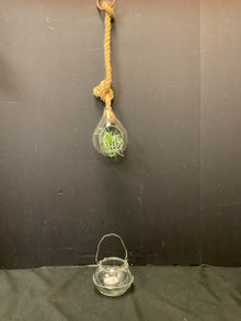  Terrarium