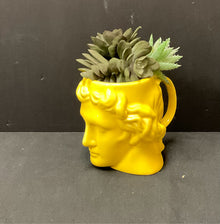  Planter/Pot