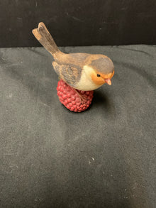  Animal/Bird/Fish/Critter
