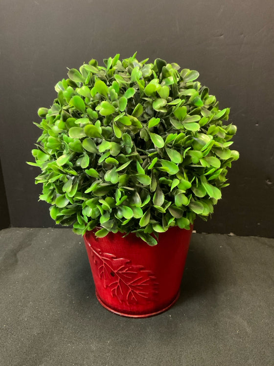 Plant