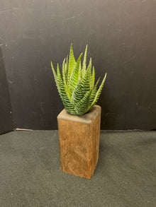  Arrangement