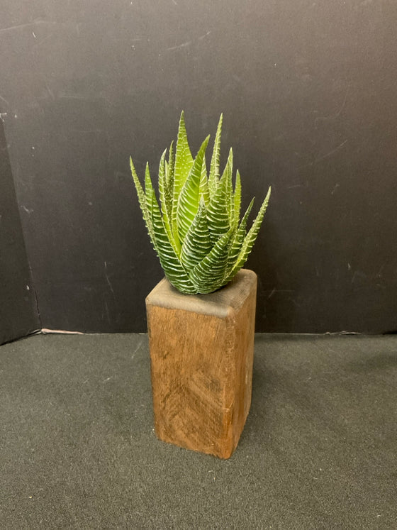 Arrangement