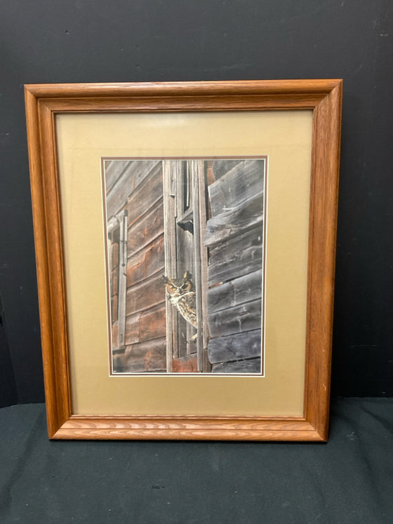 Framed Art
