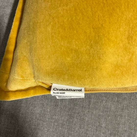 Crate & Barrel Pillow