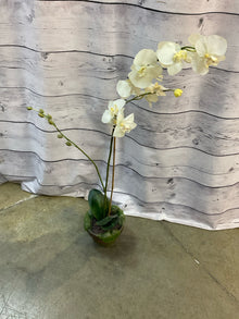  Arrangement