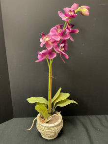  Arrangement