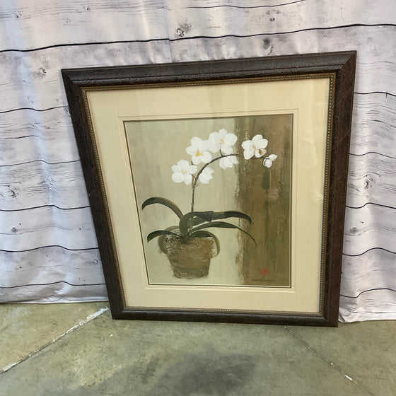 Framed Art