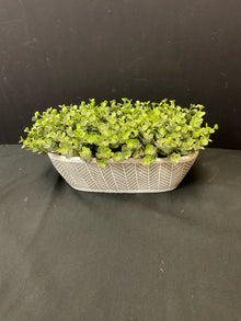  Planter/Pot