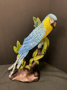  Animal/Bird/Fish/Critter