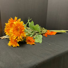  Fall Decor