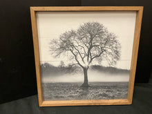  Framed Art