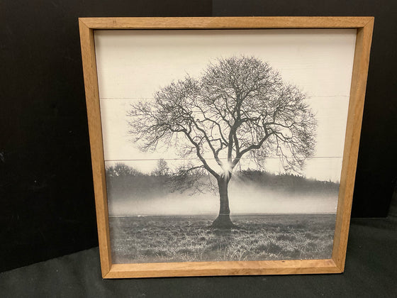 Framed Art