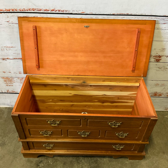 Trunk
