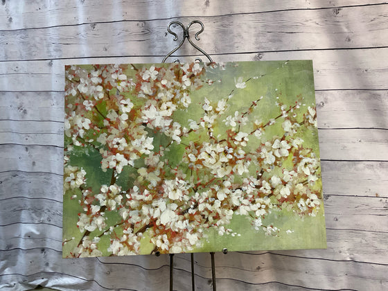 Canvas
