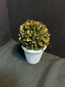  Topiary