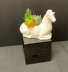  Planter/Pot