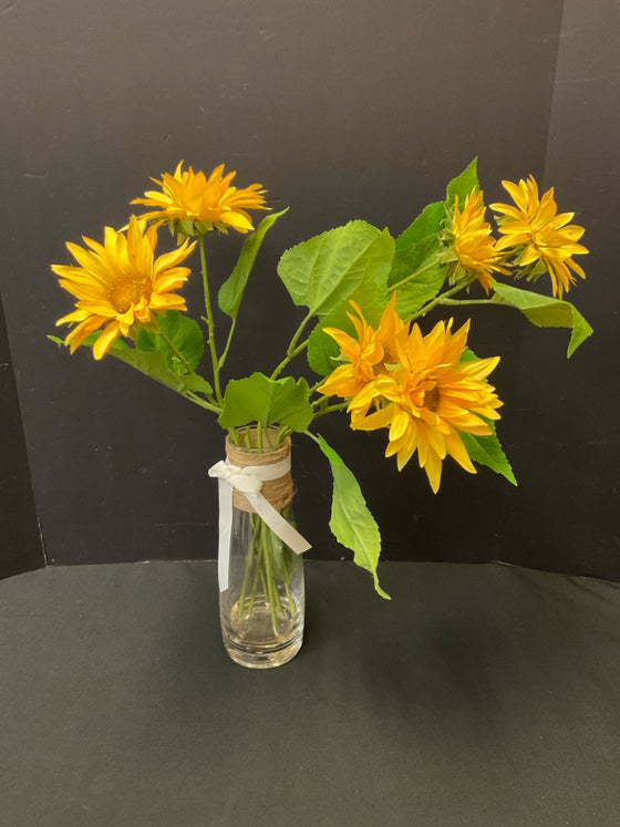 Arrangement
