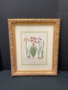  Framed Art