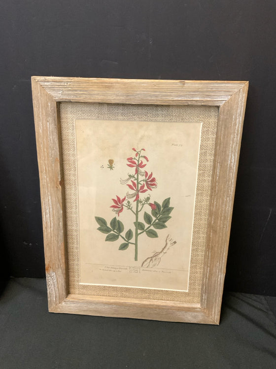 Framed Art