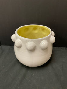  Planter/Pot
