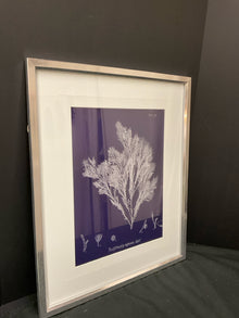  Framed Art