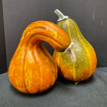  Fall Decor