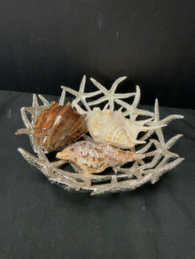  Shell