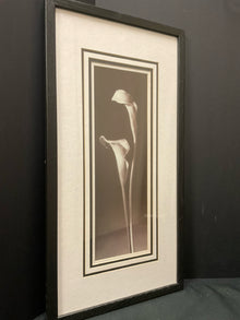  Framed Art