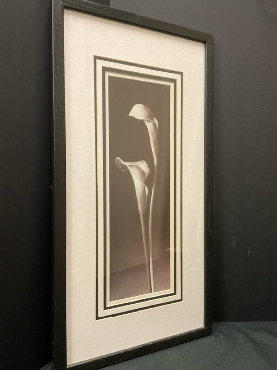 Framed Art
