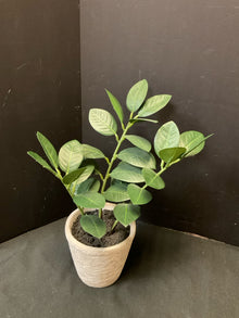  Plant