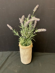  Arrangement