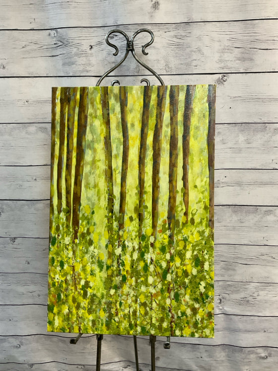 Canvas