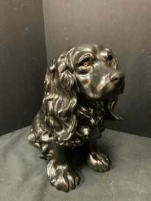  Animal/Bird/Fish/Critter