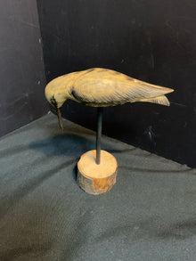  Animal/Bird/Fish/Critter
