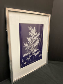  Framed Art
