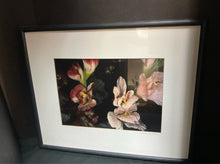  Framed Art