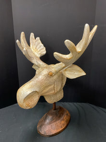  Animal/Bird/Fish/Critter