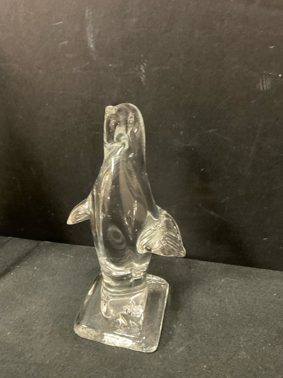 Animal/Bird/Fish/Critter