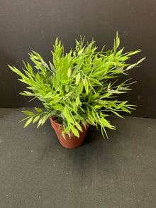  Arrangement