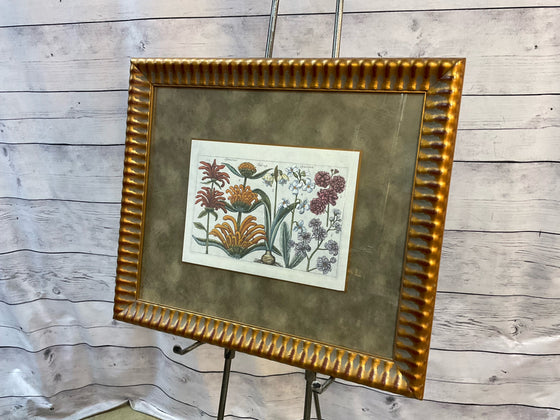 Framed Art