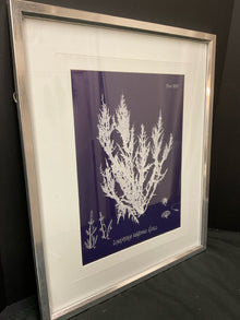  Framed Art