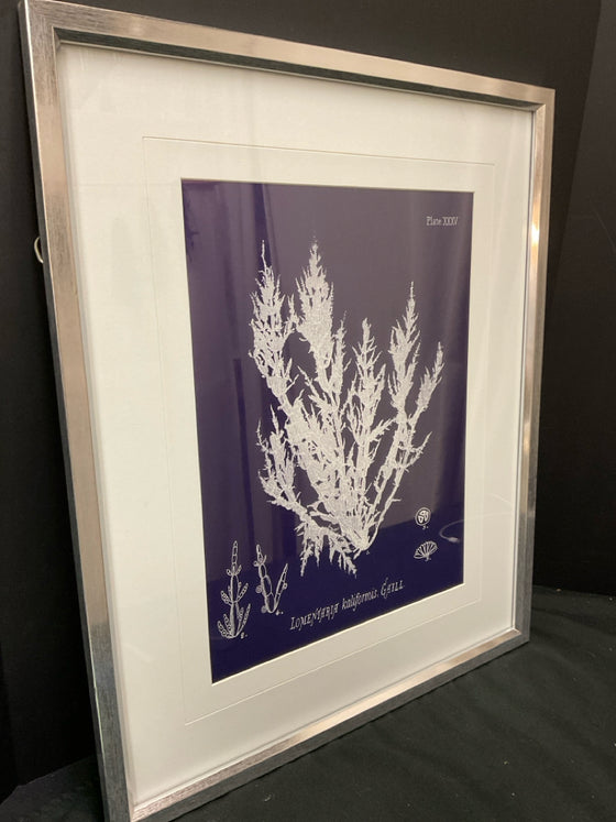 Framed Art
