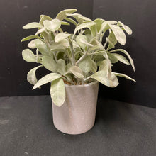  Plant