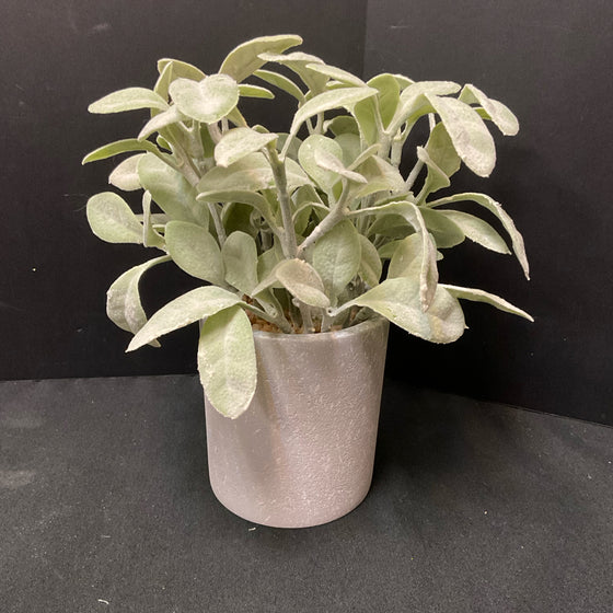 Plant