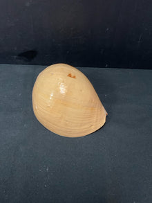  Shell